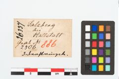 Etikett zu Bronzering (NHMW-PRAE-026337)